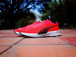 shoe